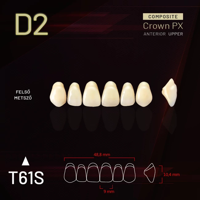 YM Composit Crown Felső metsző D2-T61S