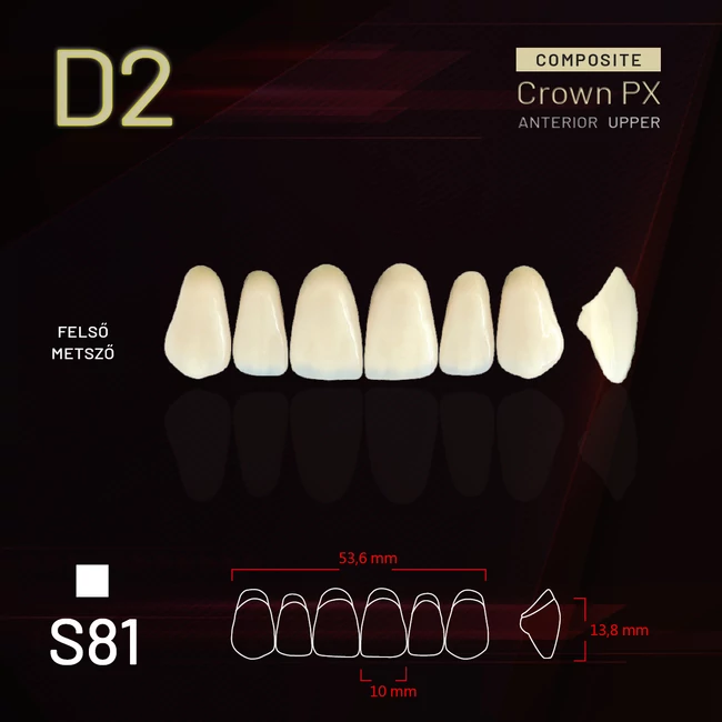 YM Composit Crown Felső metsző D2-S81