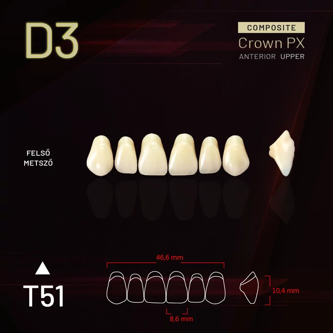 YM Composit Crown Felső metsző D3-T51