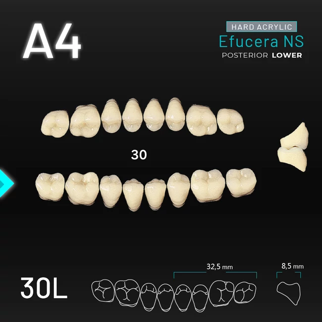 Yamahachi Acryl Efucera NS lower posterior A4-30L