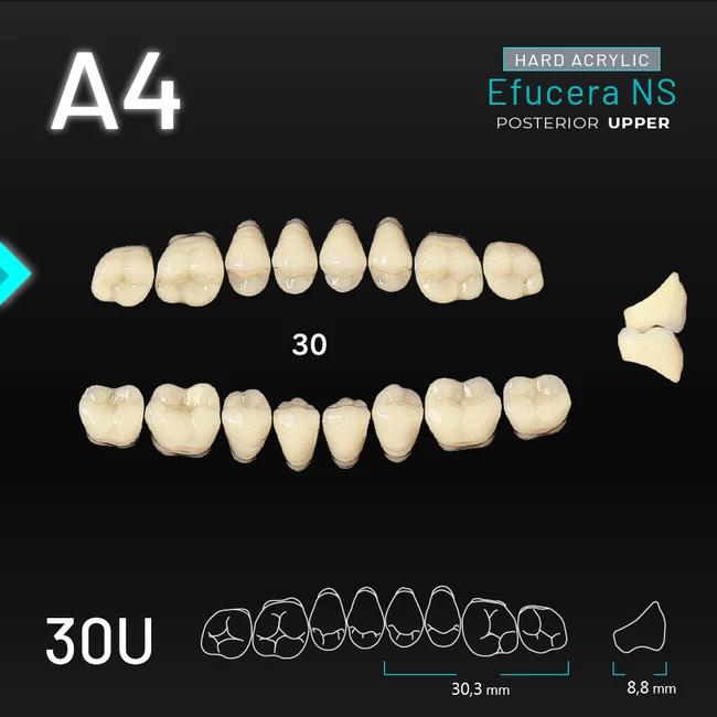 Yamahachi Acryl Efucera NS upper posterior A4-30U