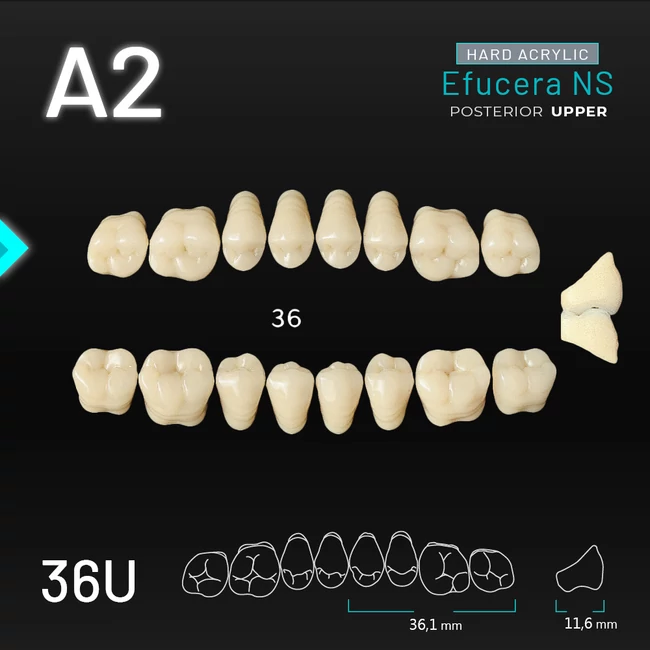 Yamahachi Akril Efucera NS felső rágó A2-36U