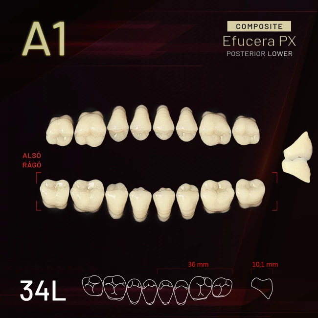 YM Composit alsó rágó A1-34L