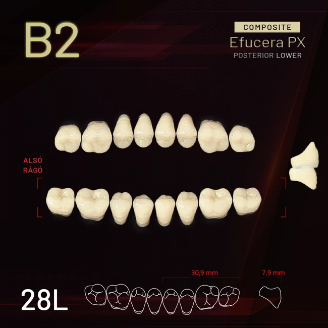 Yamahachi Composit EFUCERA alsó rágó B2 28L