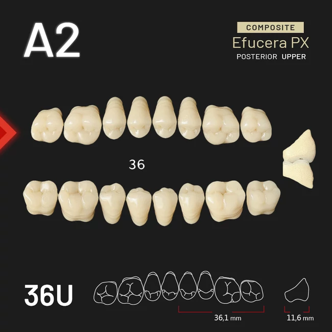 YM Composit felső rágó A2-36U