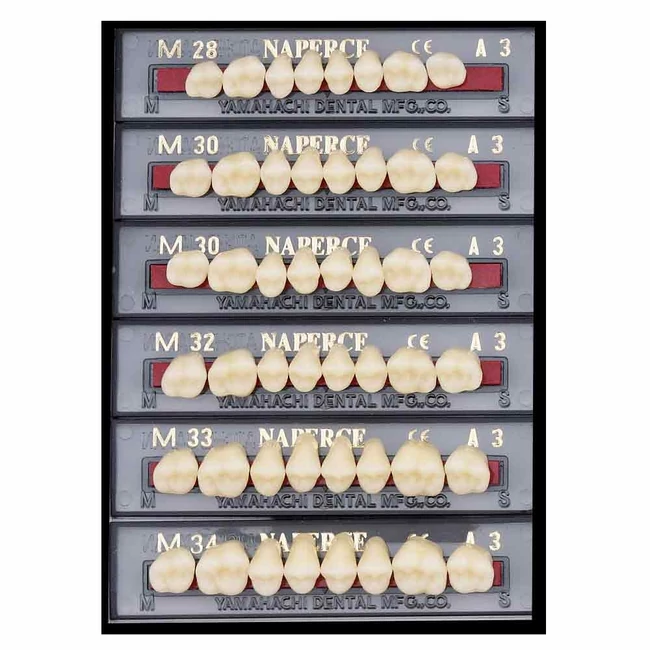 Yamahachi Acryl felső rágó D2 30U