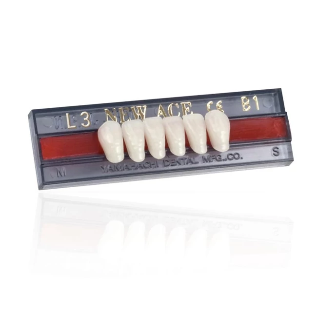 Yamahachi Acryl New Ace lower anterior B1-L3
