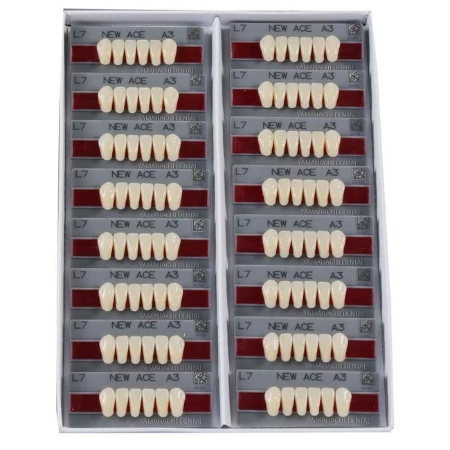 Yamahachi Acryl alsó metsző D3 L2