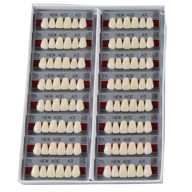 Yamahachi Acryl felső metsző D3 SS2