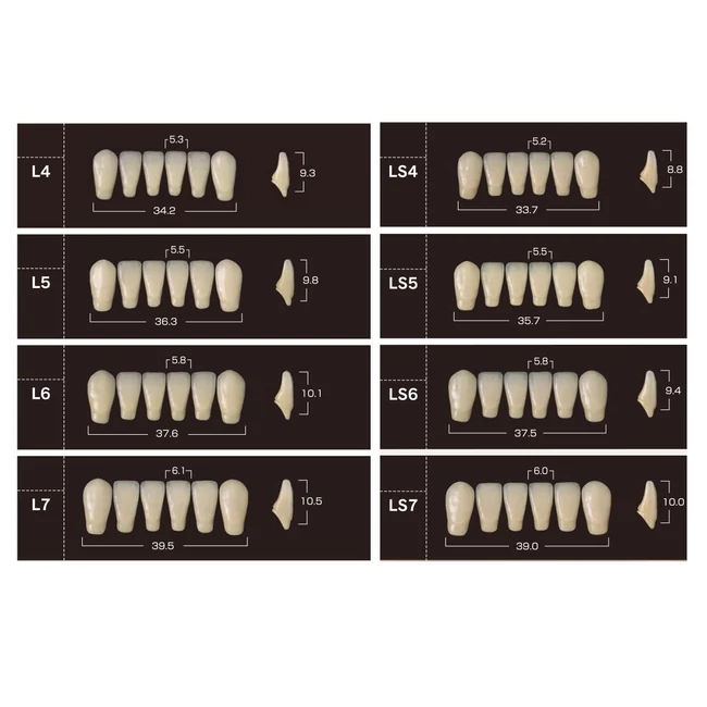 Yamahachi Composit Soluut PX alsó metsző B2-L6
