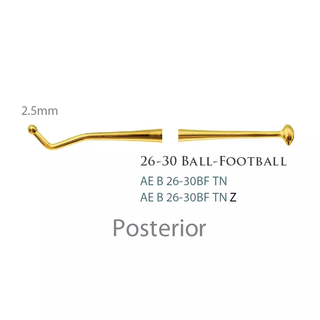 American Eagle Burnisher Ball-Football 26-30 TNZ