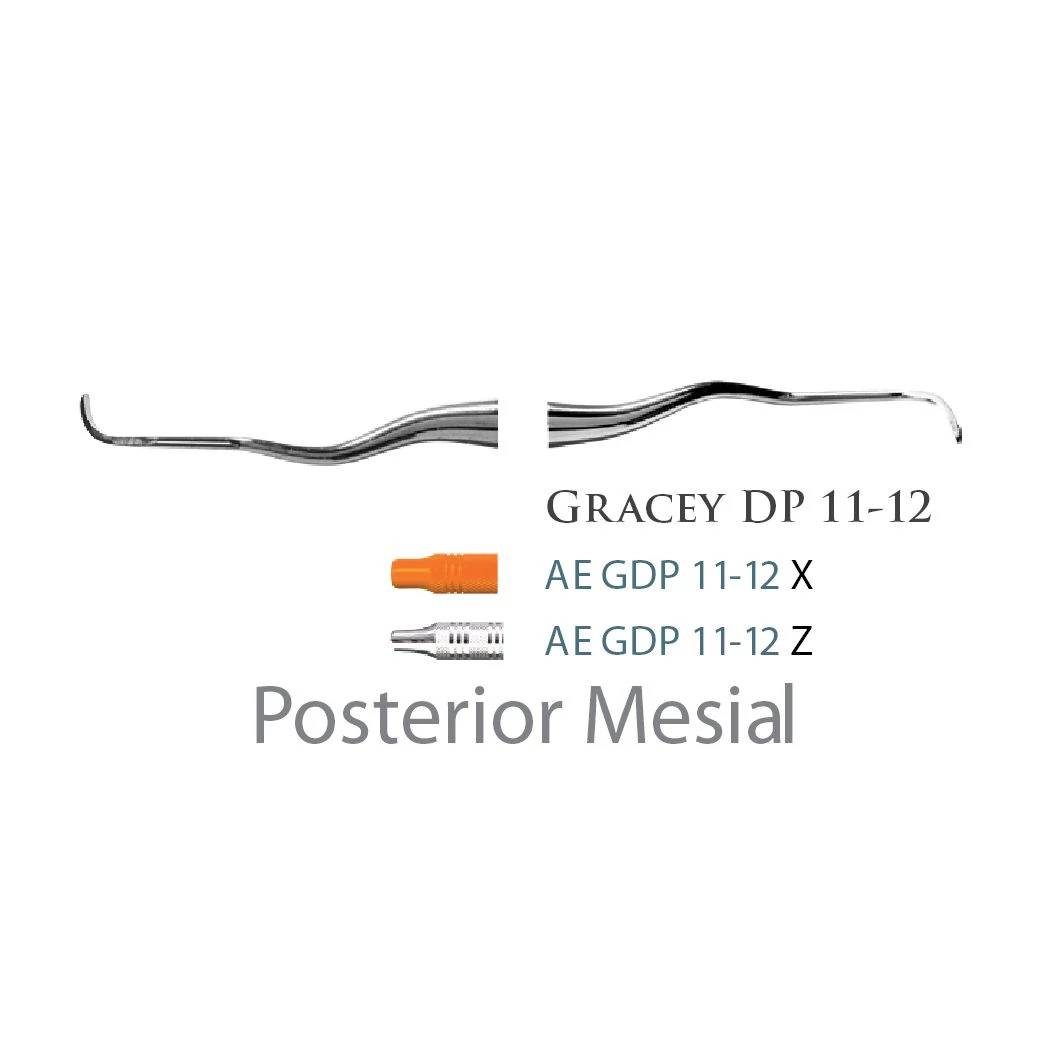 American Eagle Gracey +3 Deep Pocket 11-12 Z