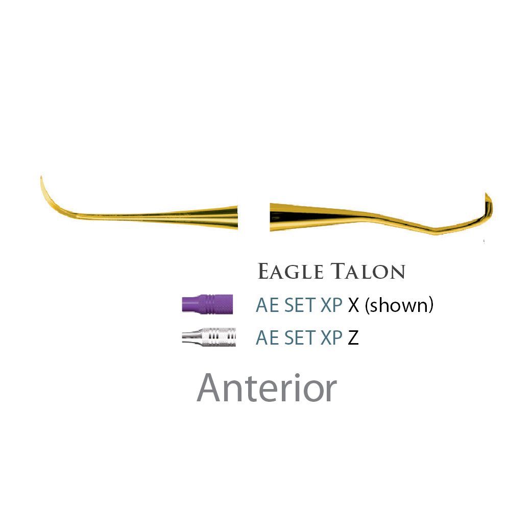 American Eagle Scaler Eagle Talon XPX
