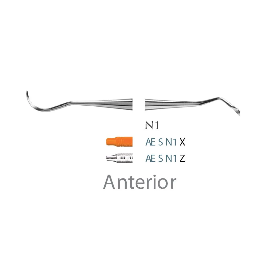 American Eagle Scaler N-1 Anterior X