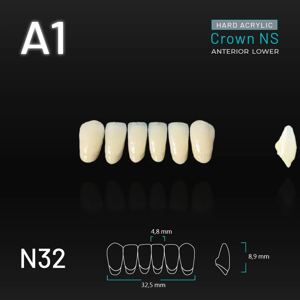 Yamahachi Acryl Crown NS lower anterior A1-N32