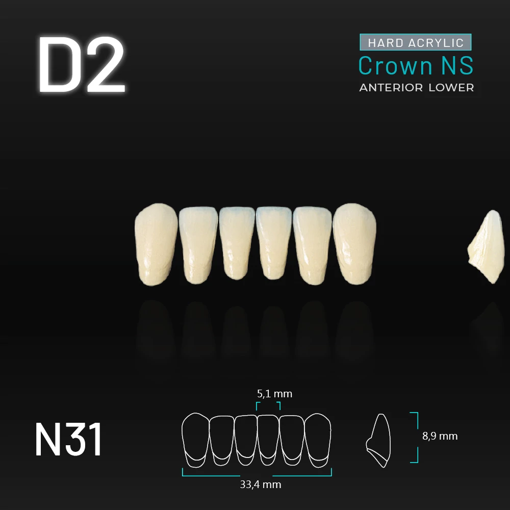 Yamahachi Akril Crown NS alsó metsző D2-N31