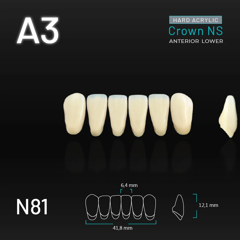 Yamahachi Acryl Crown NS lower anterior A3-N81