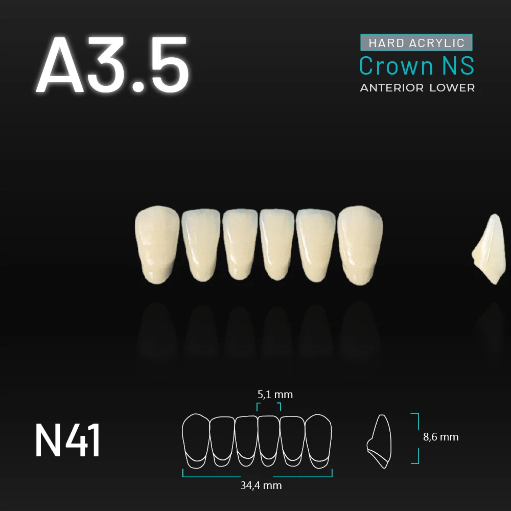 Yamahachi Acryl Crown NS lower anterior A3,5-N41