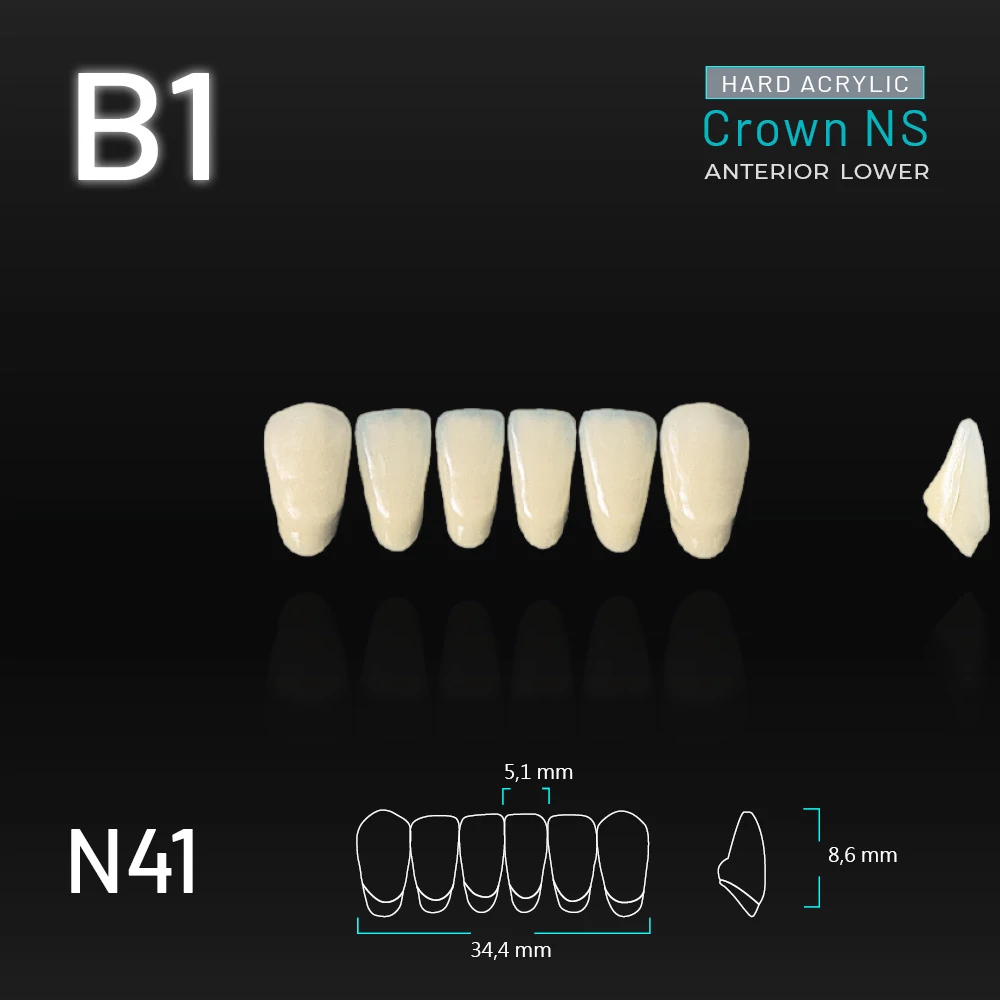 Yamahachi Acryl Crown NS lower anterior B1-N41