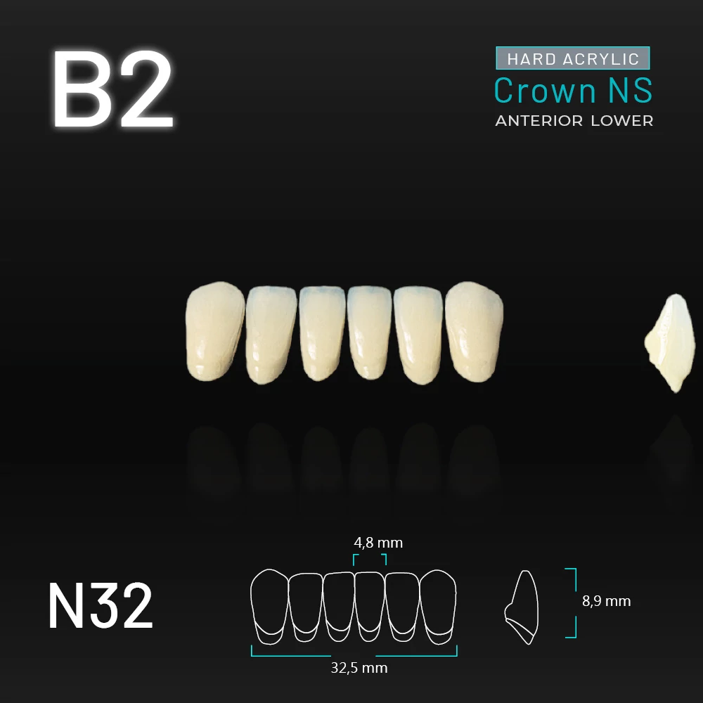 Yamahachi Acryl Crown NS lower anterior B2-N32