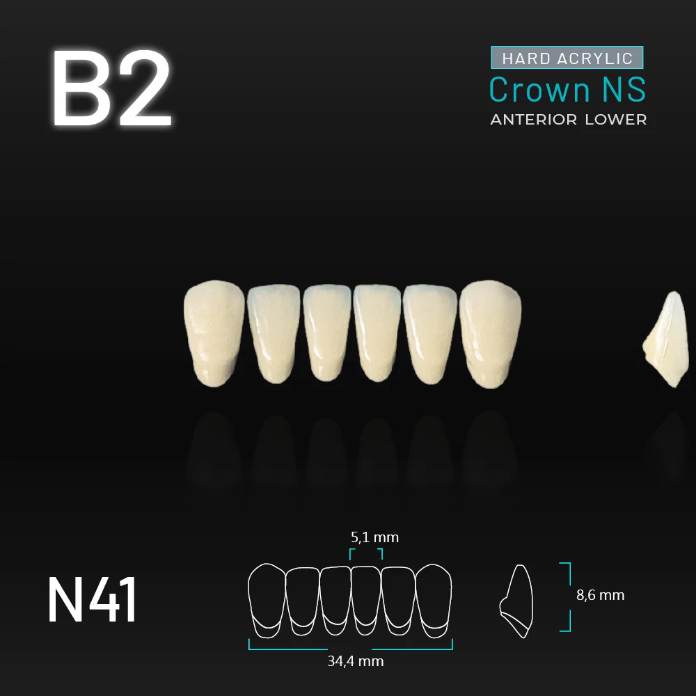 Yamahachi Acryl Crown NS lower anterior B2-N41