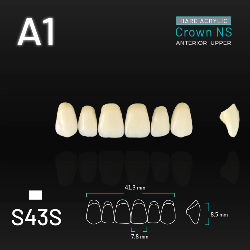 Yamahachi Acryl Crown NS upper anterior A1-S43S
