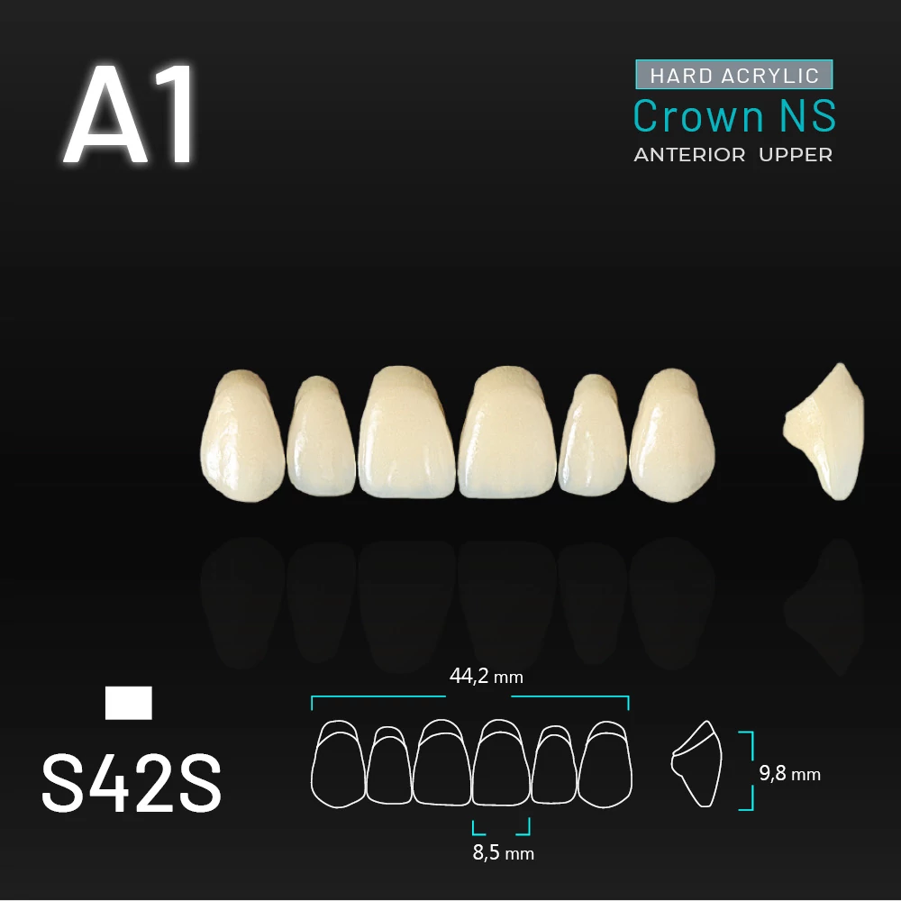 Yamahachi Acryl Crown NS upper anterior A1-S42S
