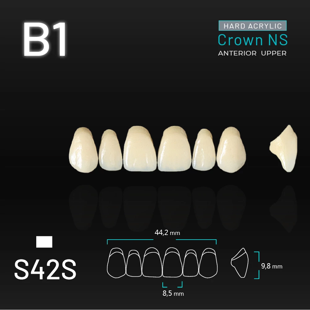 Yamahachi Acryl Crown NS upper anterior B1-S42S