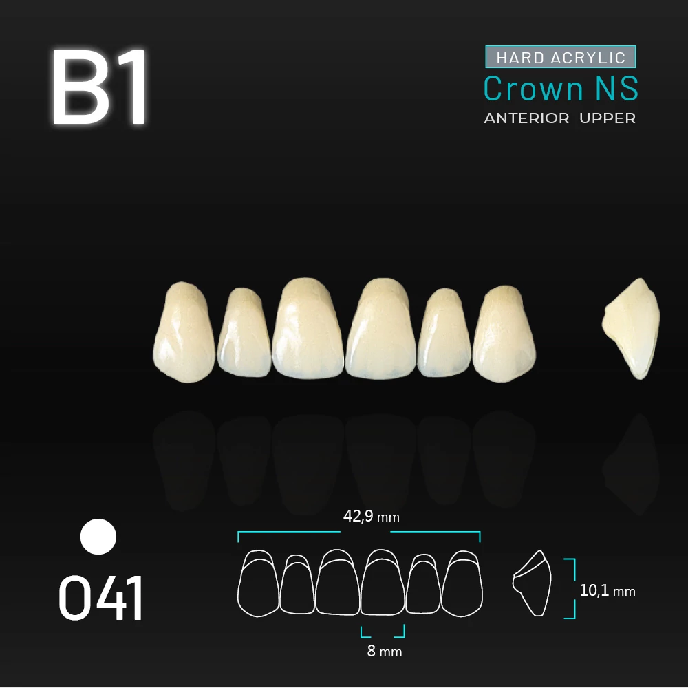 Yamahachi Akril Crown NS felső metsző B1-O41