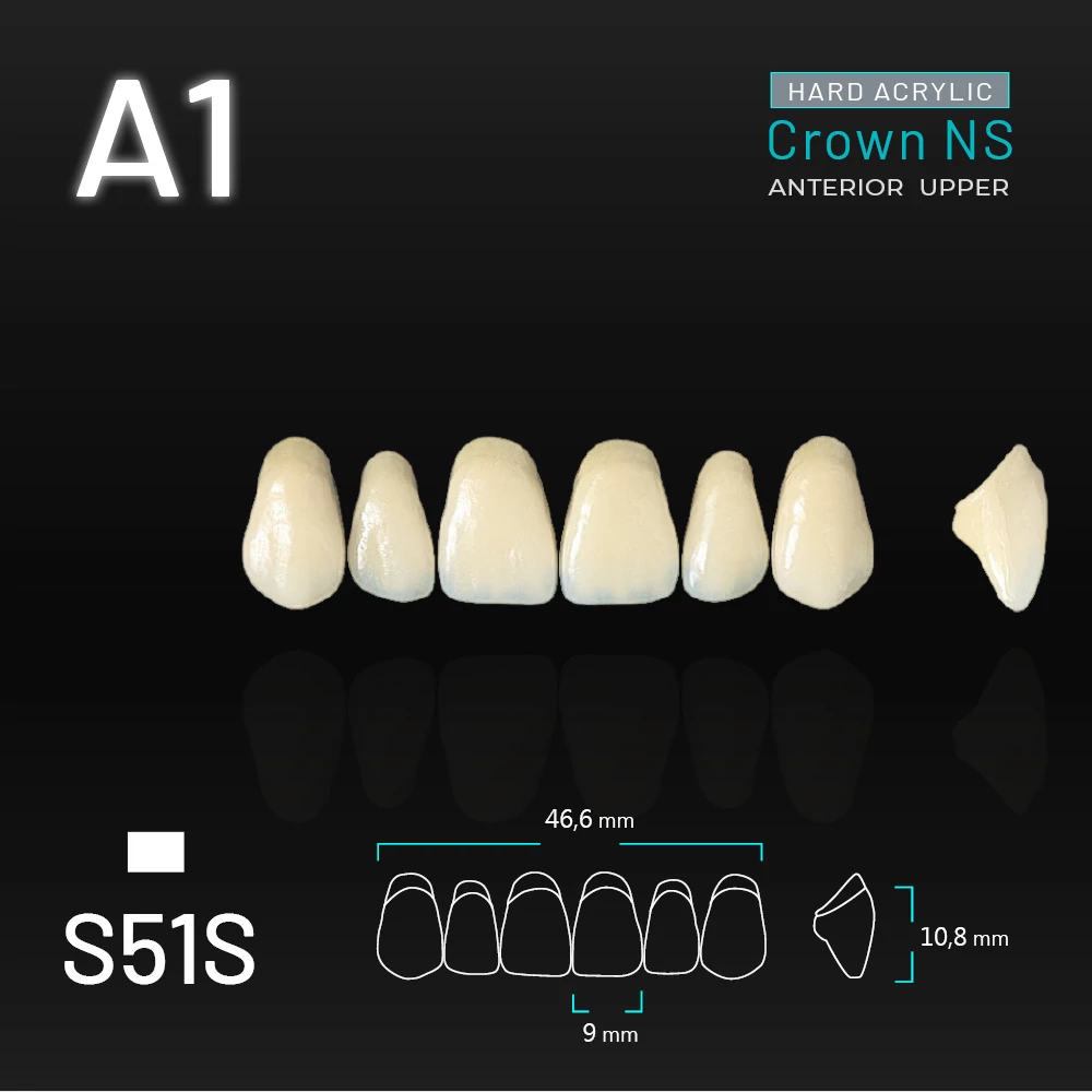 Yamahachi Acryl Crown NS upper anterior A1-S51S