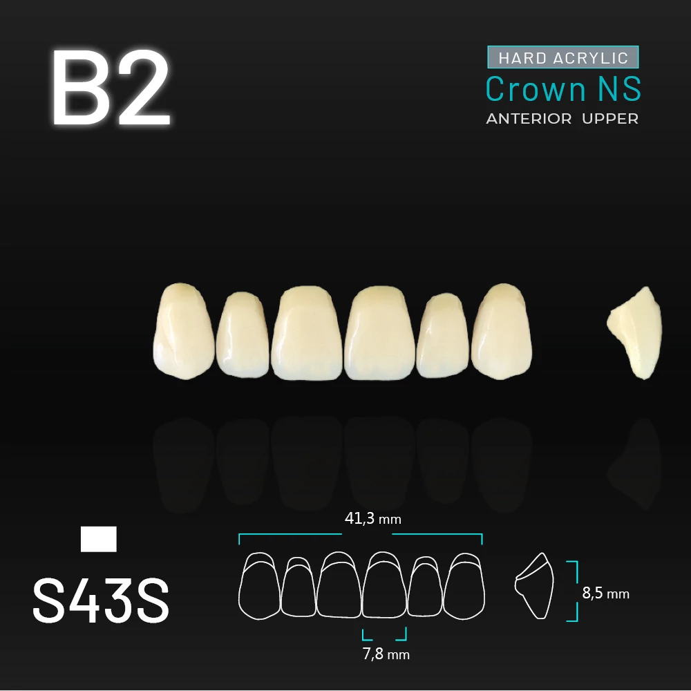 Yamahachi Acryl Crown NS upper anterior B2-S43S