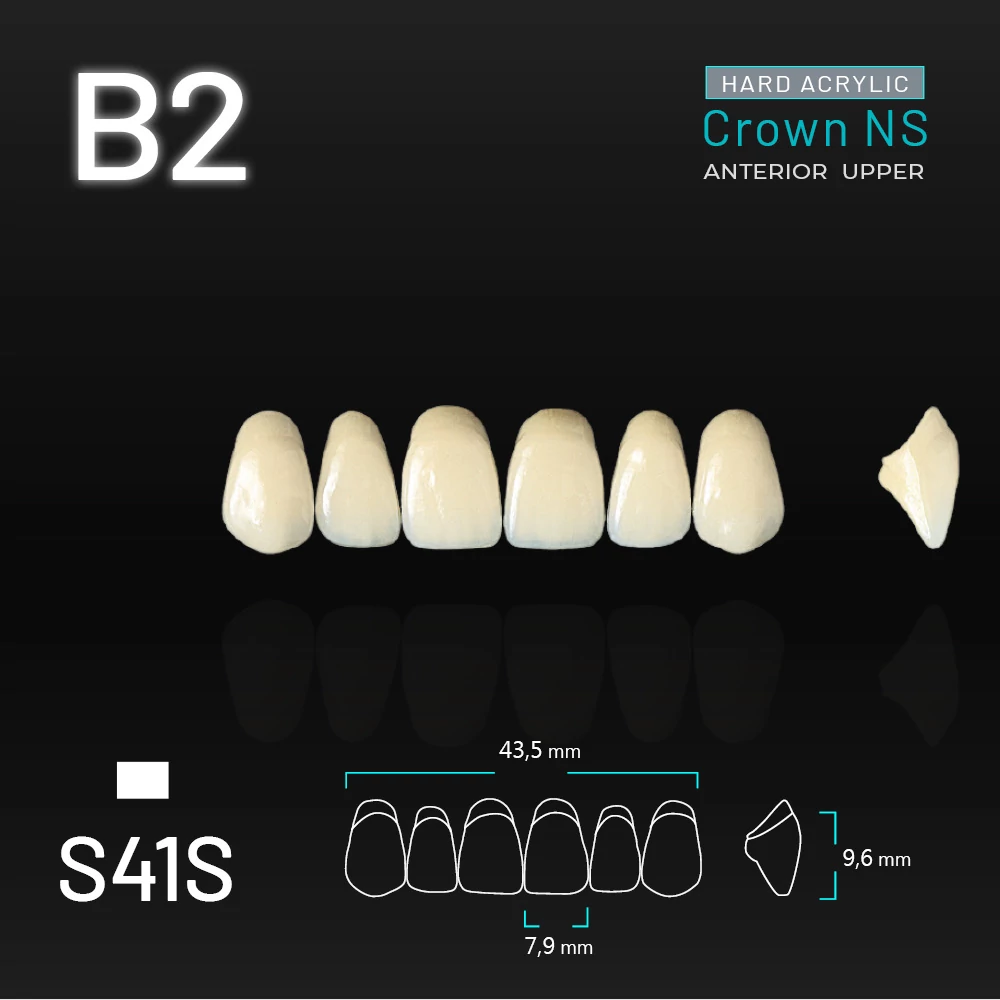 Yamahachi Acryl Crown NS upper anterior B2-S41S