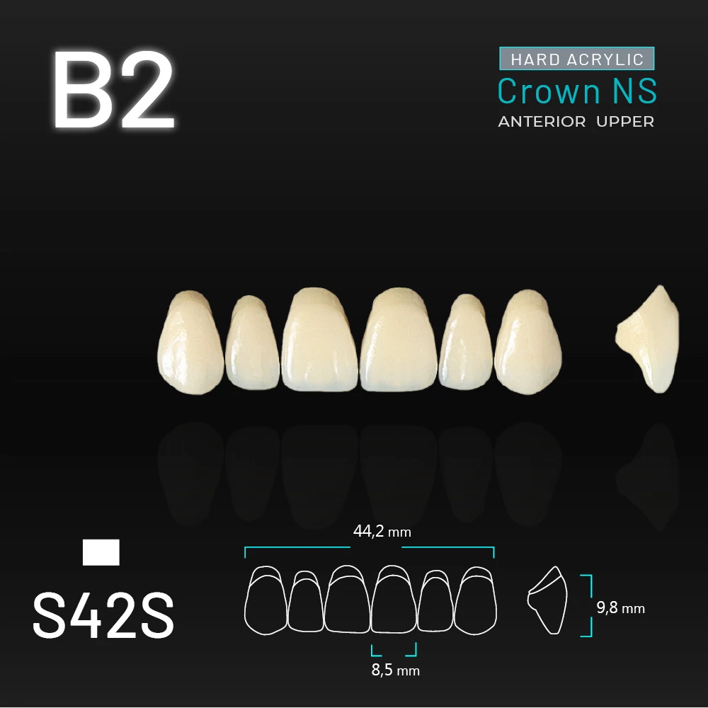 Yamahachi Acryl Crown NS upper anterior B2-S42S