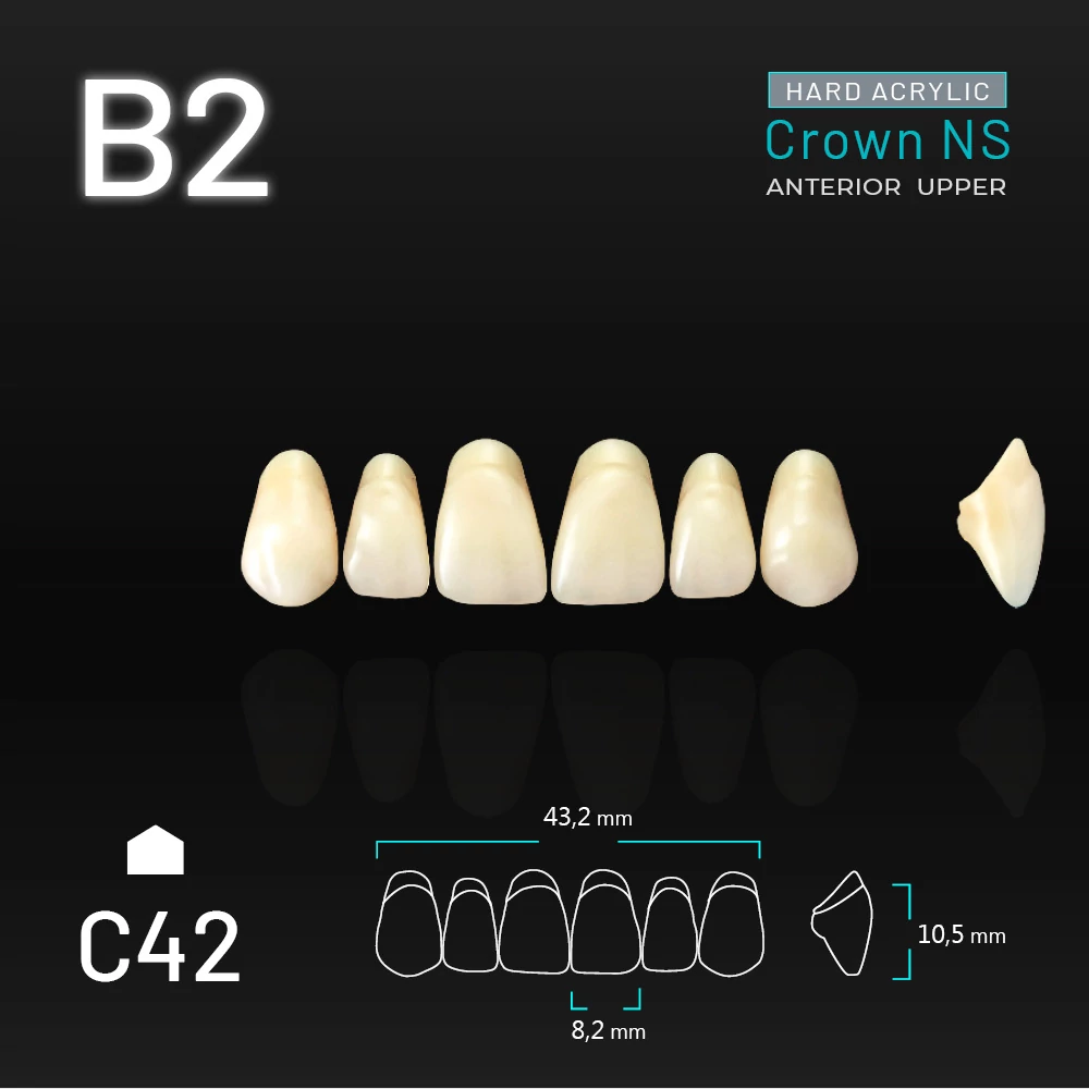 Yamahachi Acryl Crown NS upper anterior B2-C42
