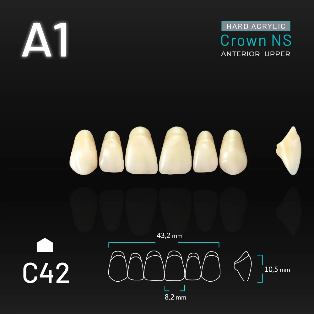 Yamahachi Acryl Crown NS upper anterior A1-C42