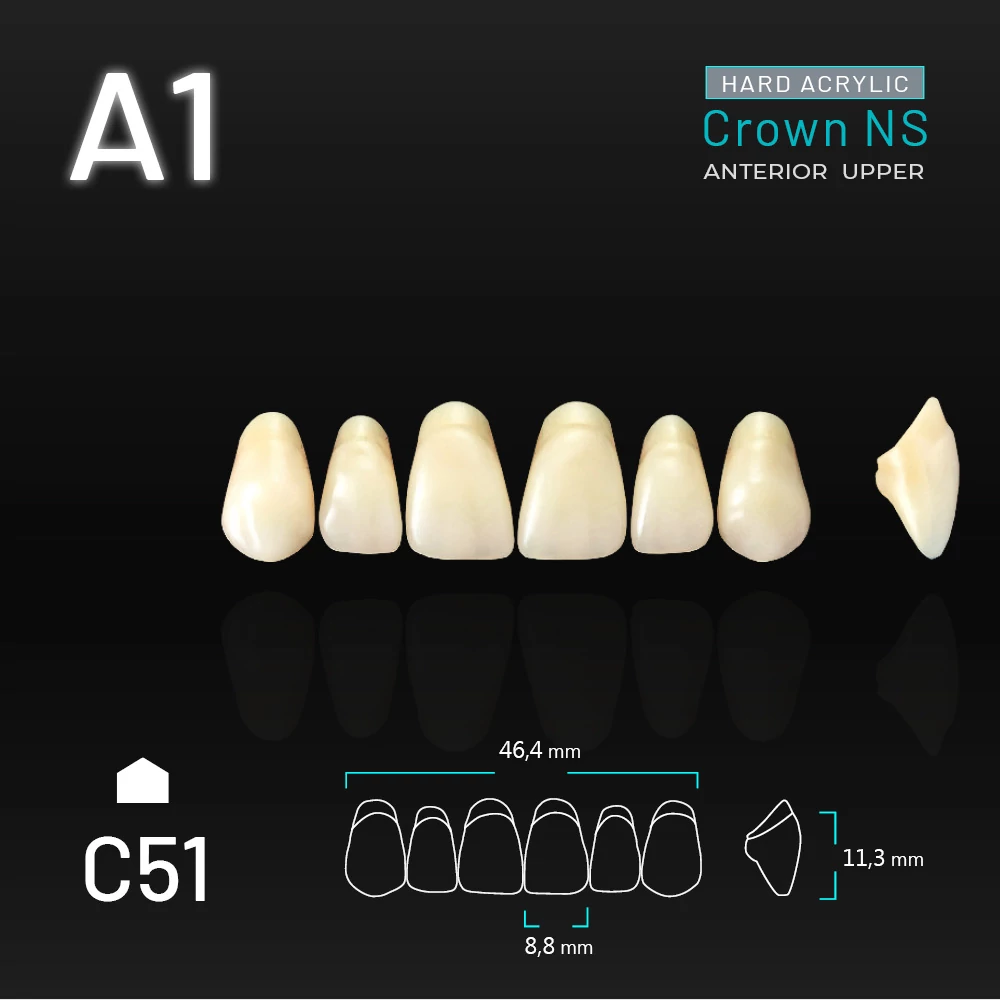 Yamahachi Acryl Crown NS upper anterior A1-C51