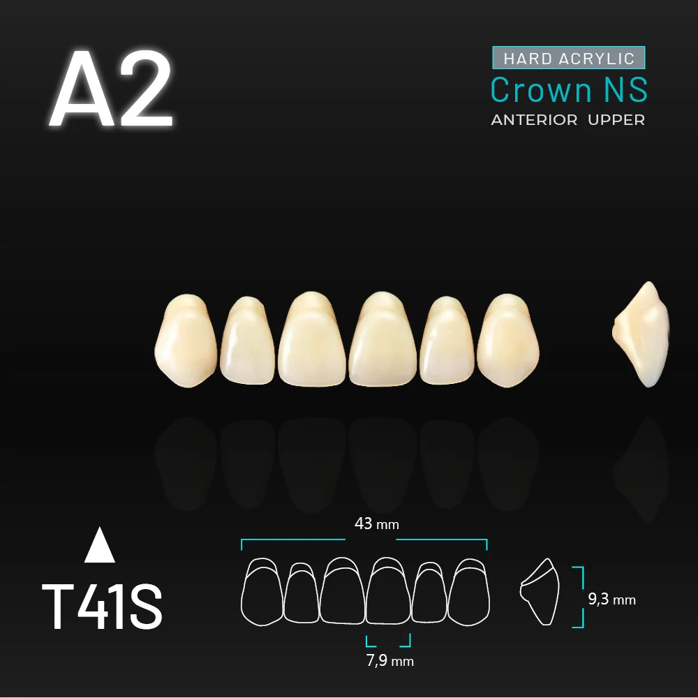 Yamahachi Akril Crown NS felső metsző A2-T41S