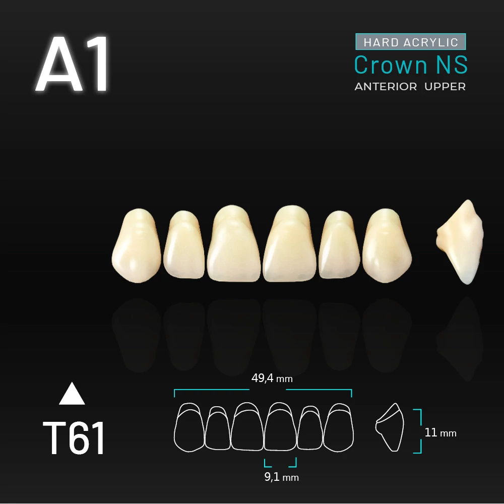 Yamahachi Acryl Crown NS upper anterior A1-T61