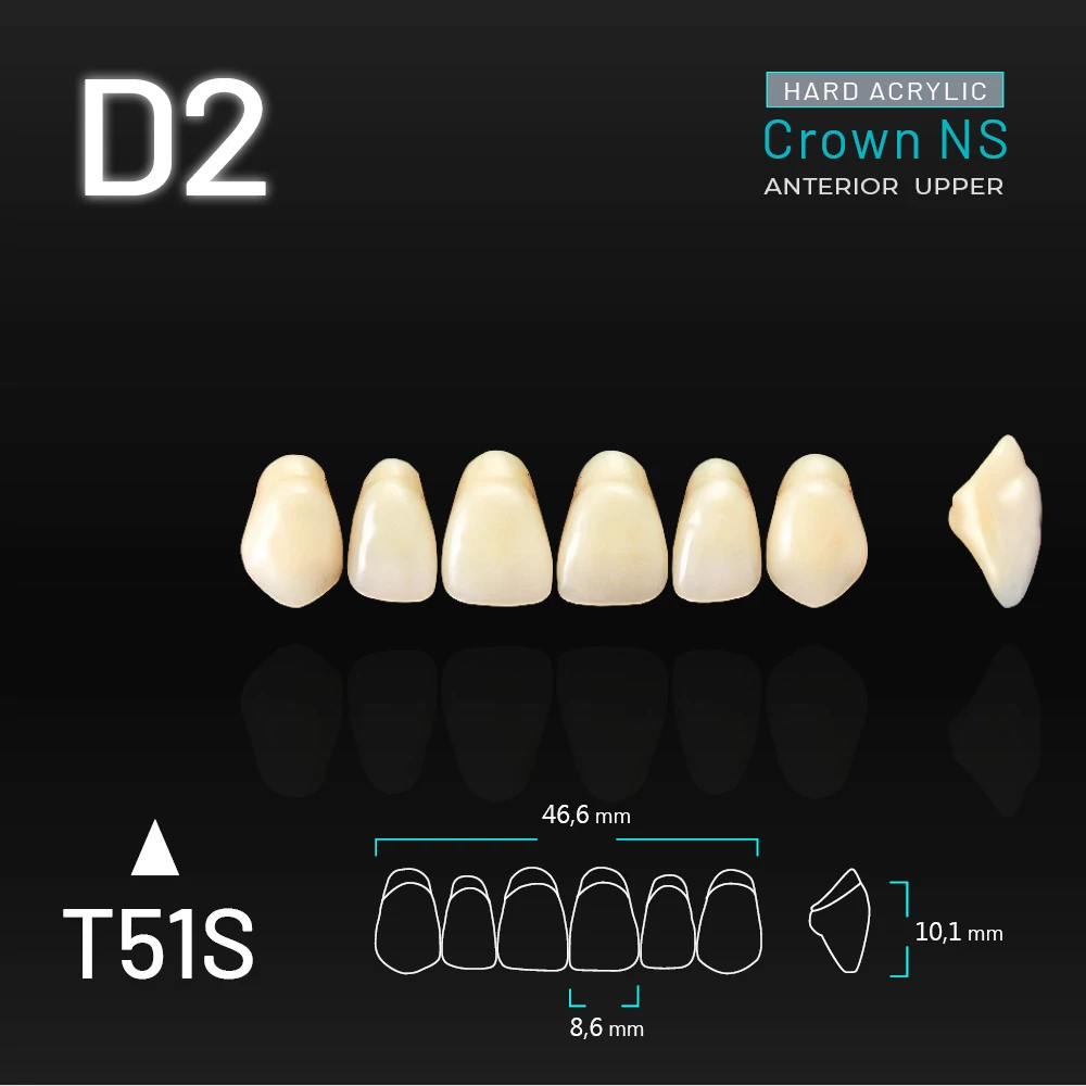 Yamahachi Acryl Crown NS upper anterior D2-T51S
