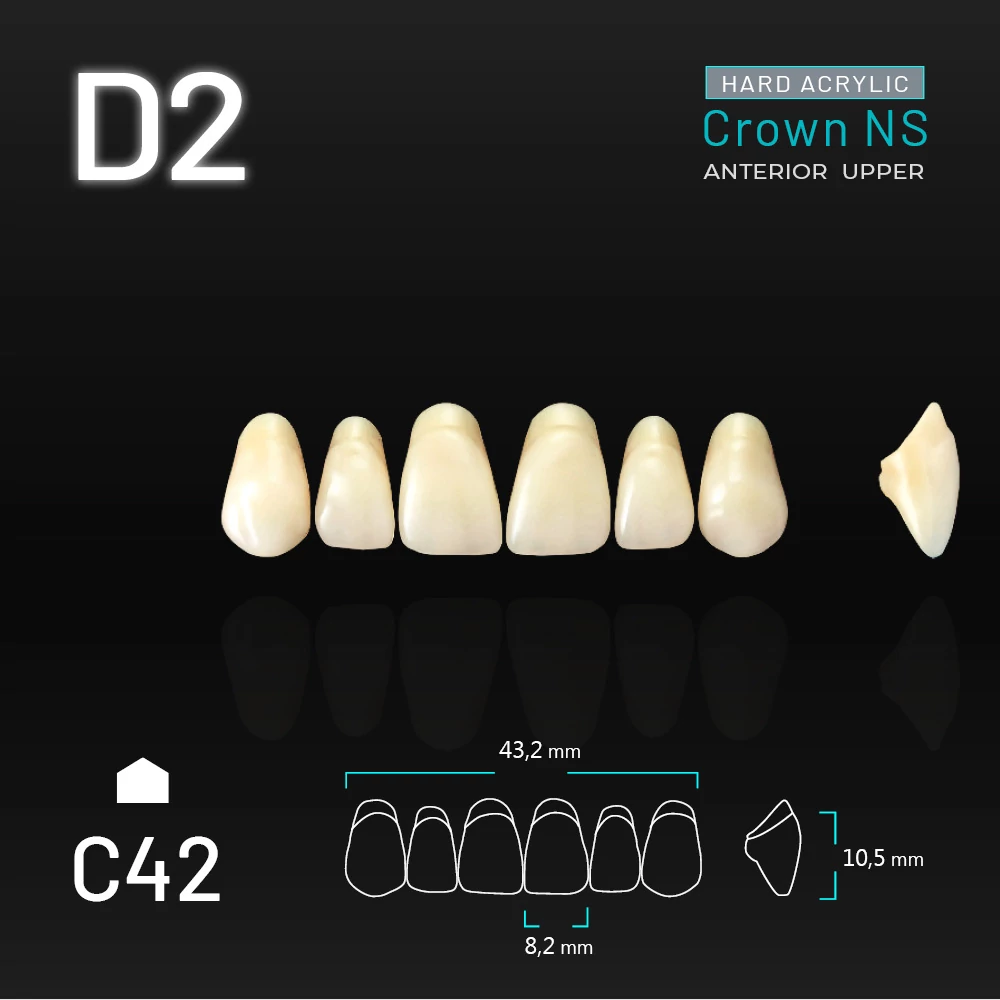Yamahachi Acryl Crown NS upper anterior D2-C42