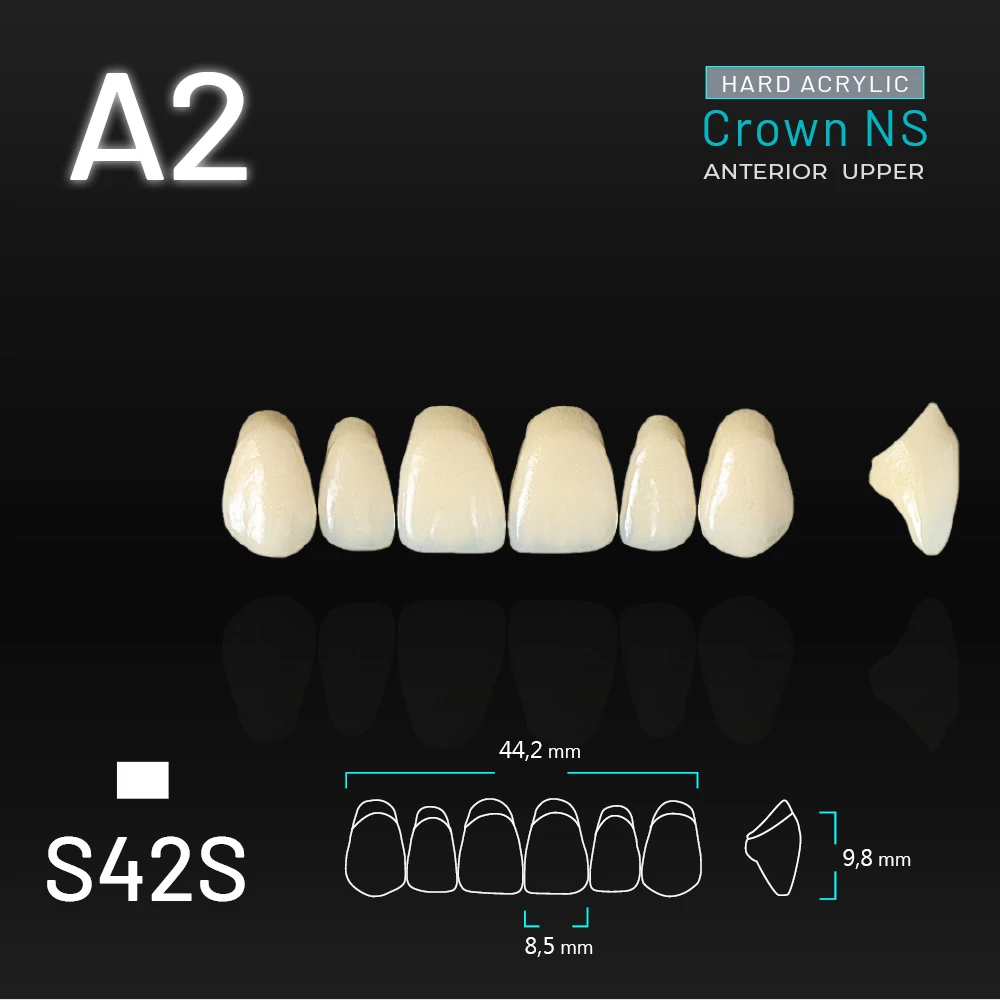 Yamahachi Acryl Crown NS upper anterior A2-S42S