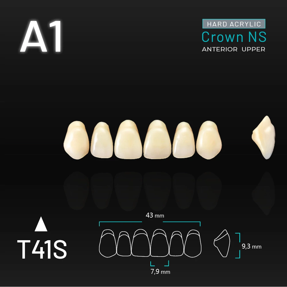 Yamahachi Acryl Crown NS upper anterior A1-T41S