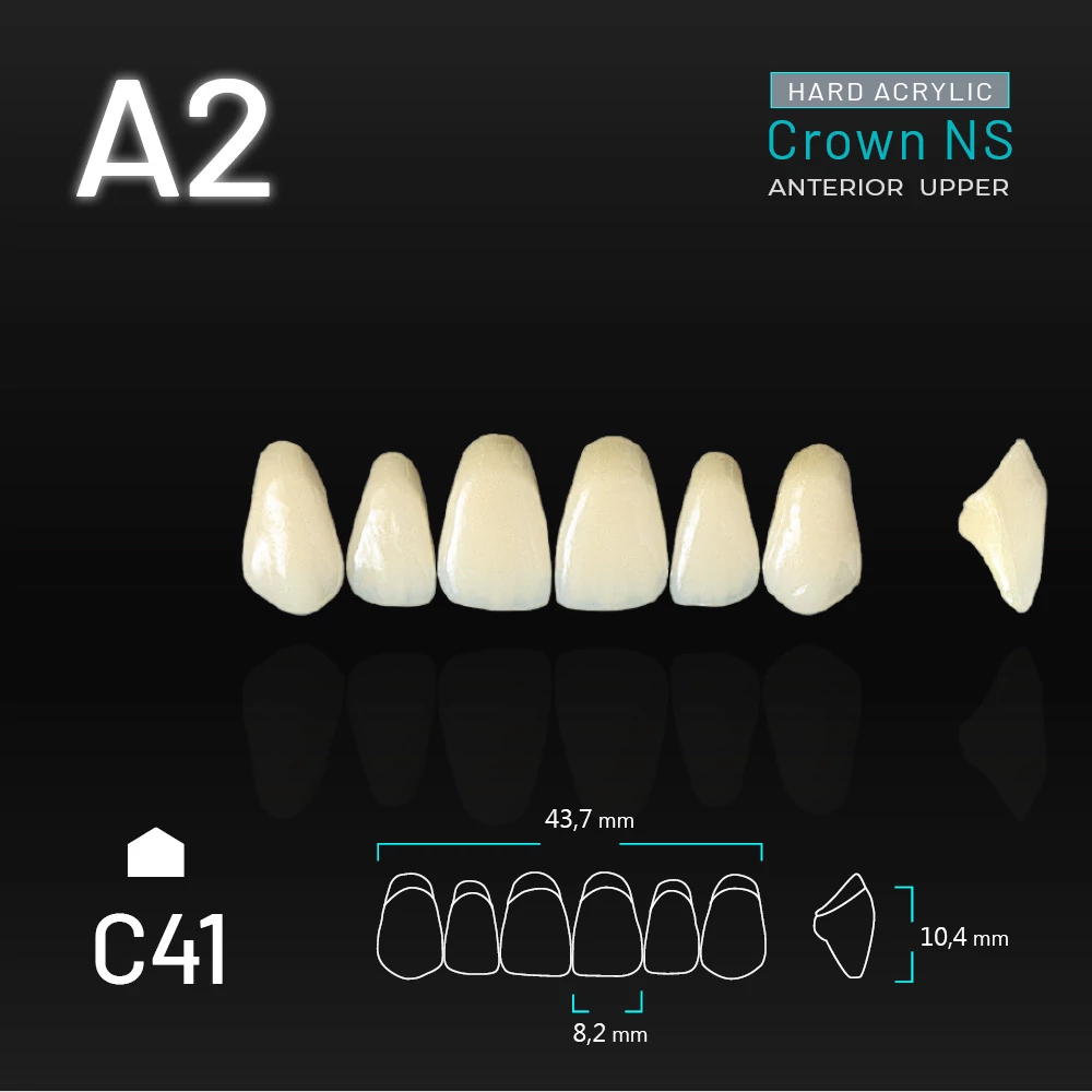 Yamahachi Acryl Crown NS upper anterior A2-C41