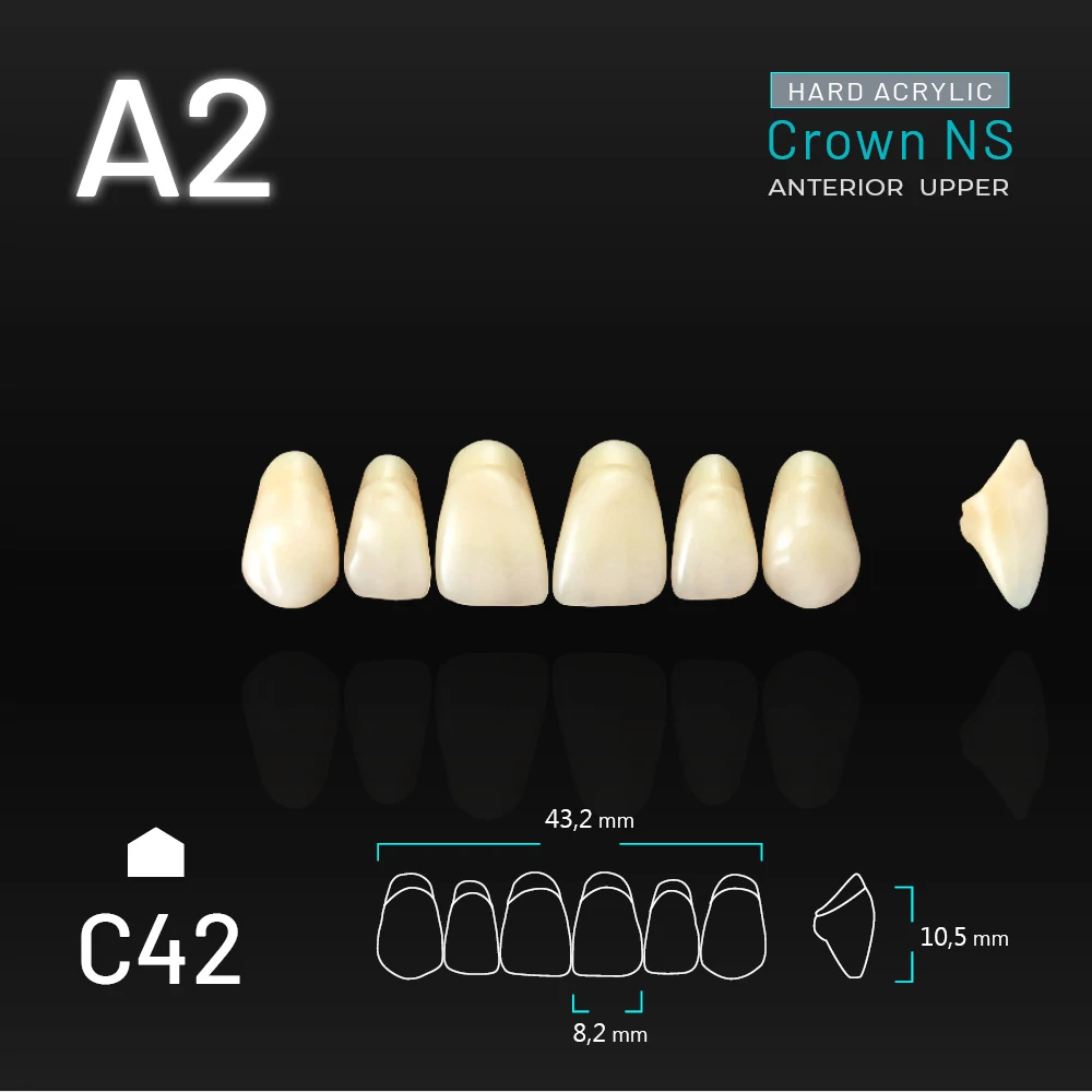 Yamahachi Acryl Crown NS upper anterior A2-C42