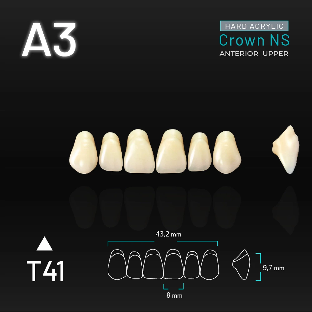 Yamahachi Acryl Crown NS upper anterior A3-T41