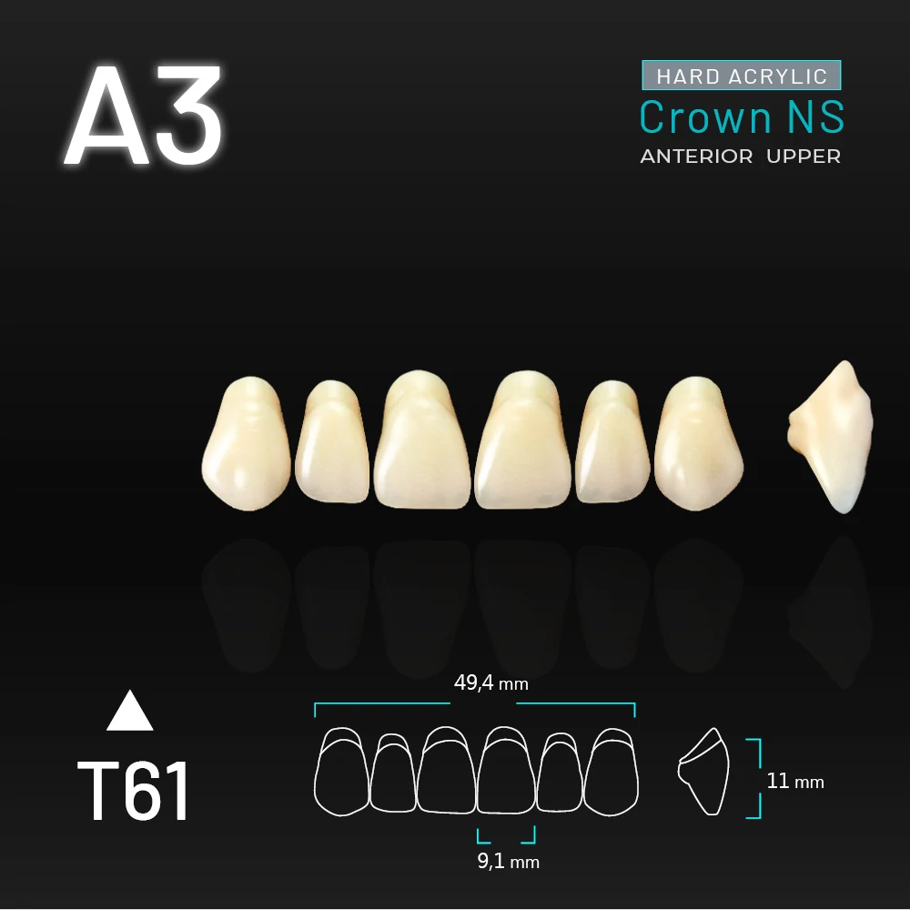 Yamahachi Acryl Crown NS upper anterior A3-T61