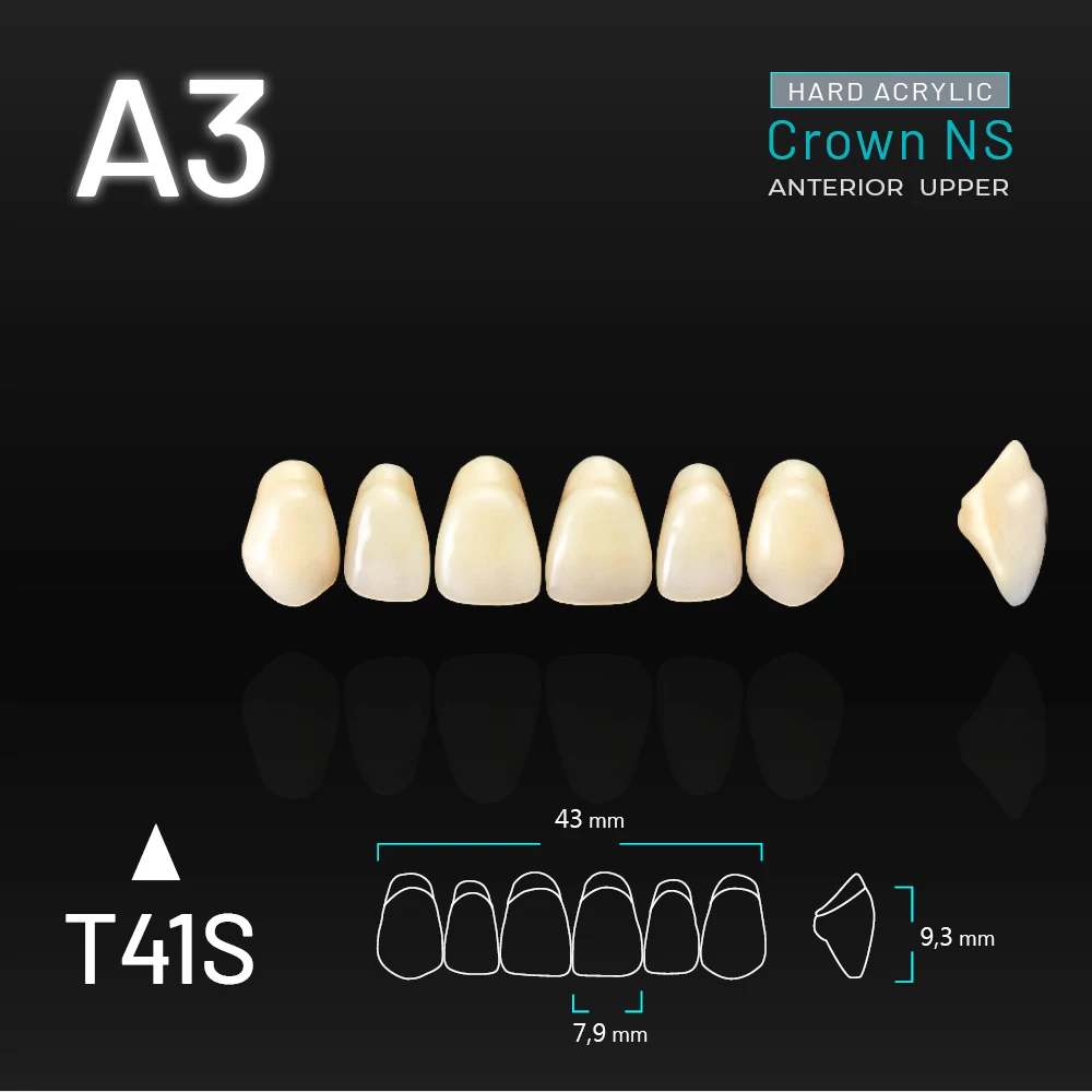 Yamahachi Acryl Crown NS upper anterior A3-T41S