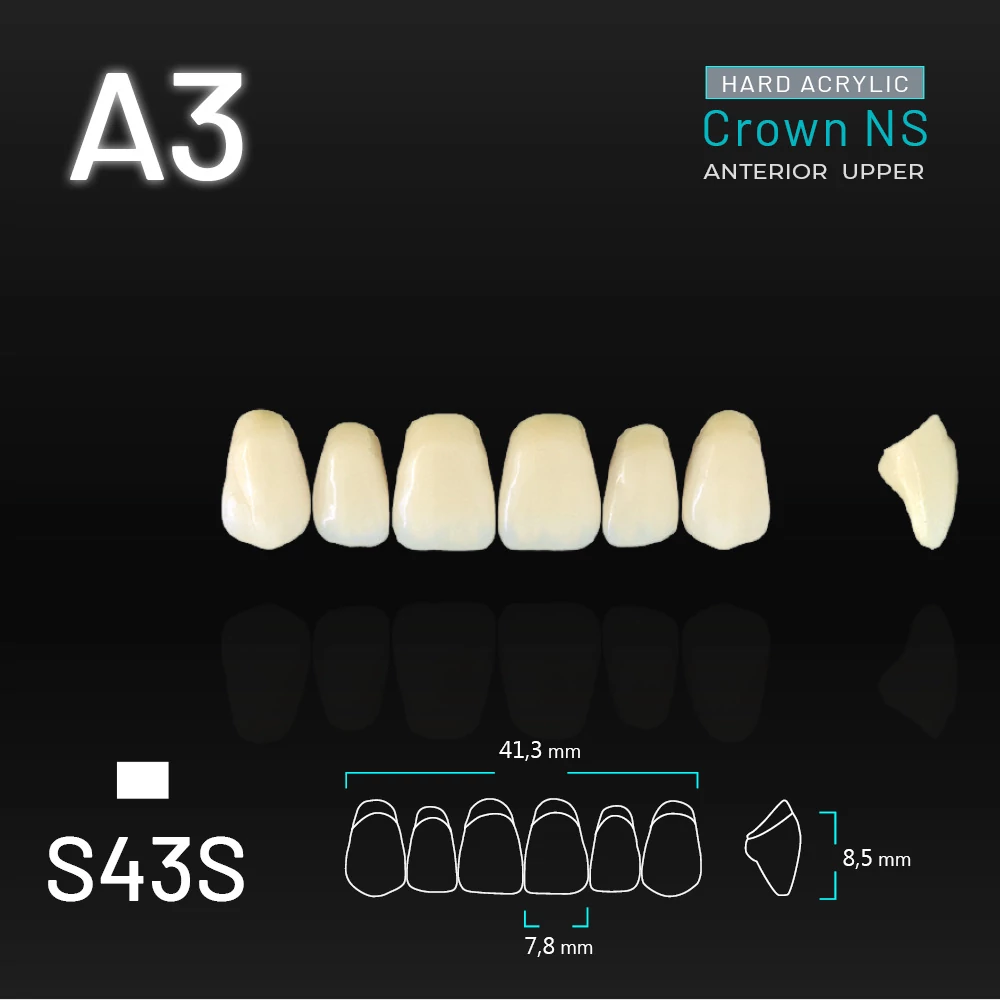 Yamahachi Acryl Crown NS upper anterior A3-S43S