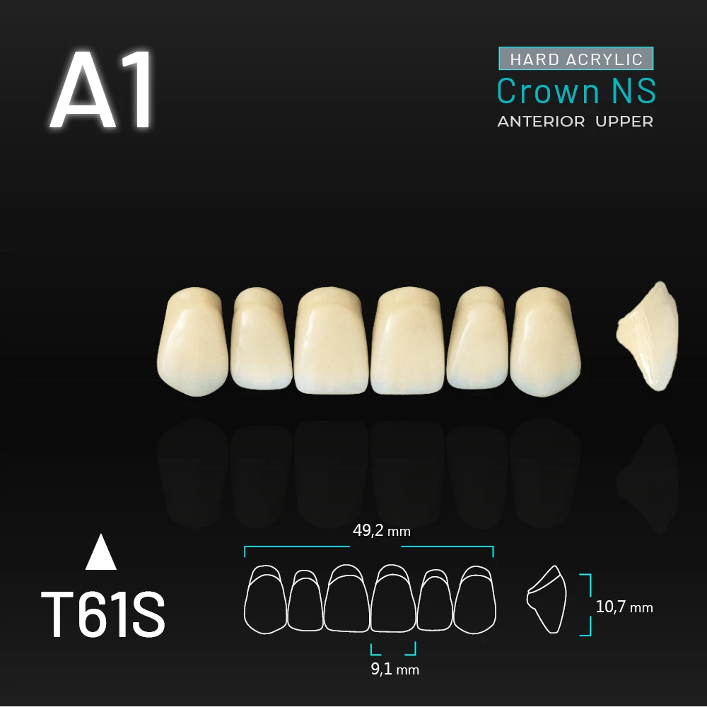 Yamahachi Acryl Crown NS upper anterior A1-T61S