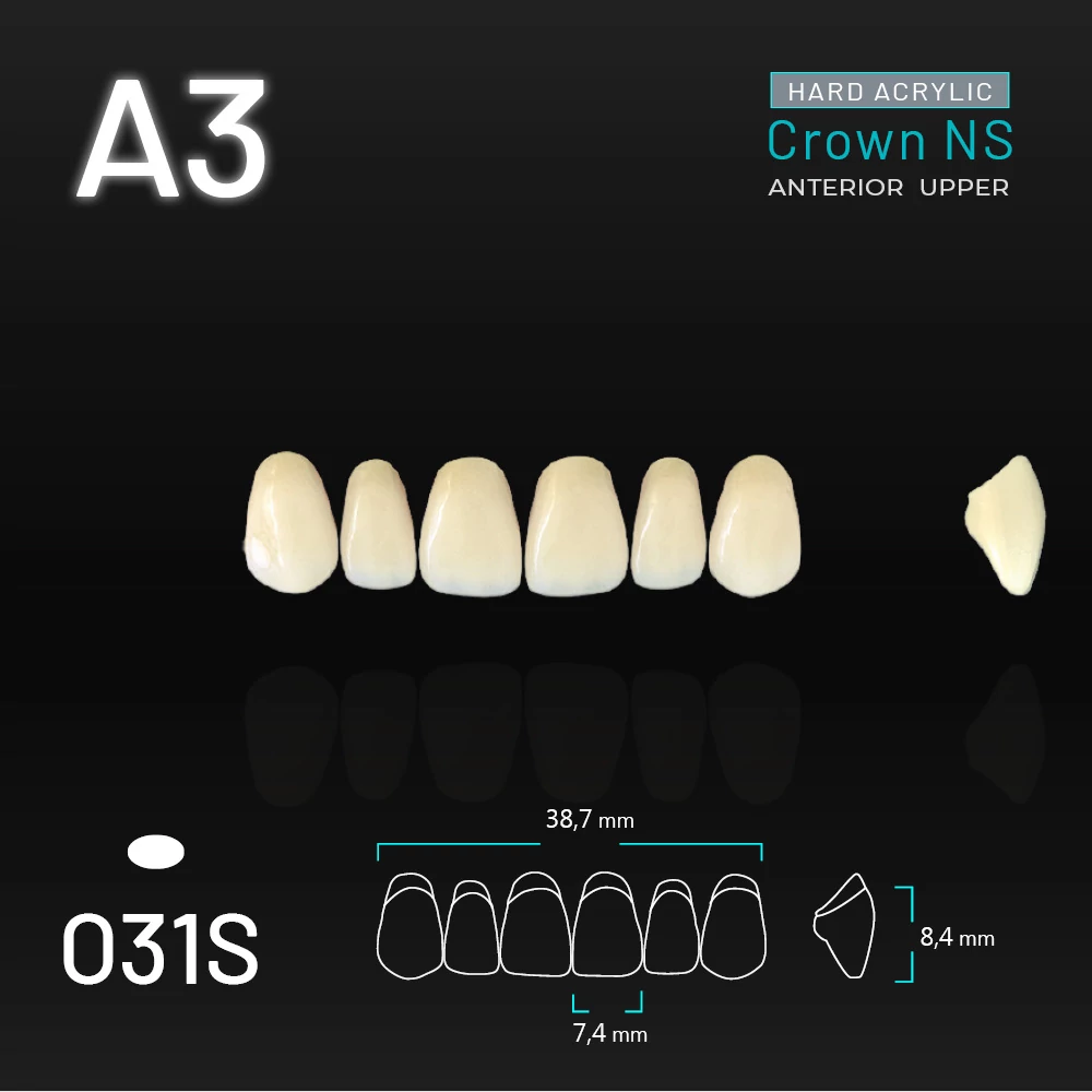 Yamahachi Acryl Crown NS upper anterior A3-O31S